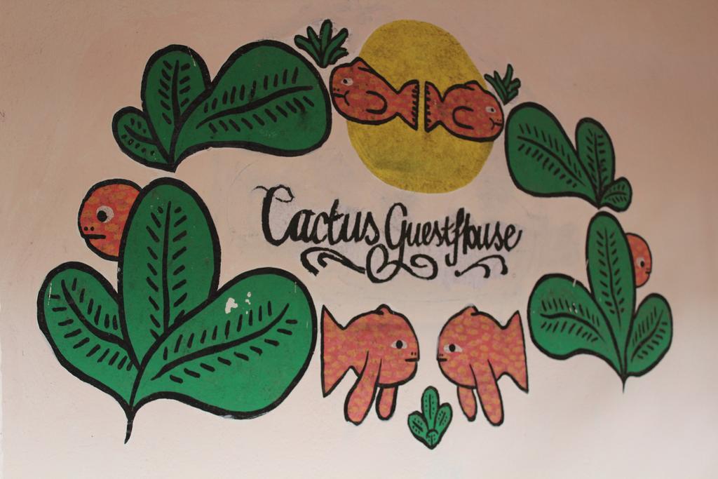 Cactus Guesthouse Arambol Esterno foto