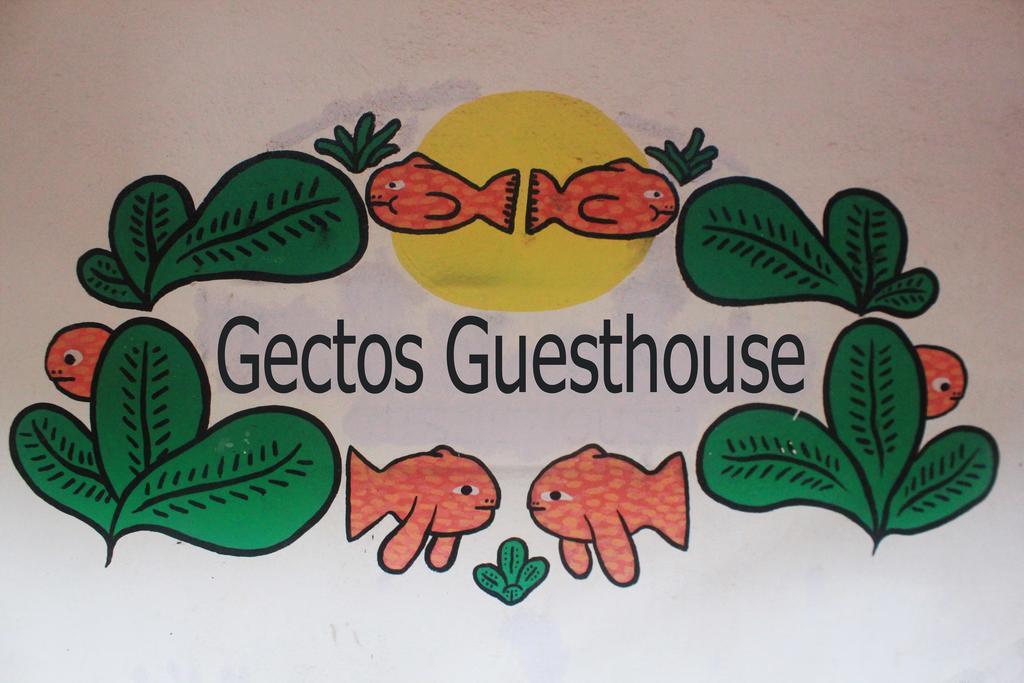 Cactus Guesthouse Arambol Esterno foto