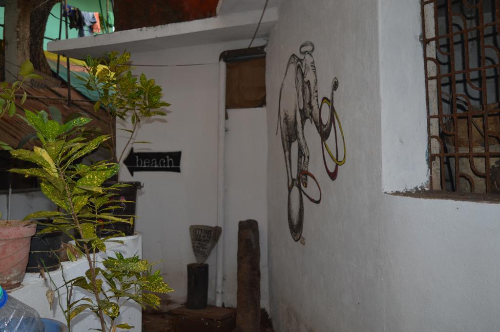 Cactus Guesthouse Arambol Esterno foto