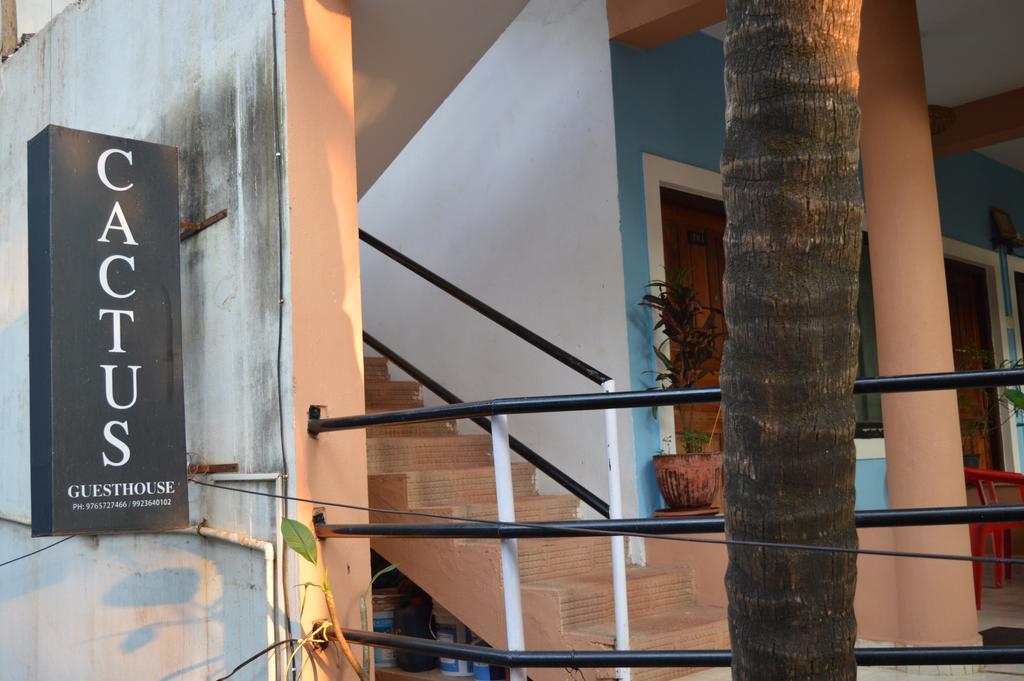Cactus Guesthouse Arambol Esterno foto